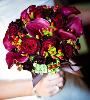 The Cat's Meow Flowers and Gifts, Castle Rock