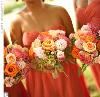 The Cat's Meow Flowers and Gifts, Castle Rock