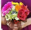 The Cat's Meow Flowers and Gifts, Castle Rock