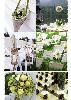 Modern Day Wedding Ceremonies by Amy