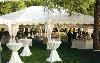 United Party Rental Center, Carrollton
