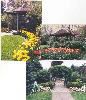 Bridal Glen, Fort Wayne