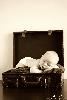 Iron Orchid Photography, Kennett Square