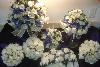 Baskets-n-Things Wedding Services, Denver — Bridal bouquet, bridesmaid bouquet, three kissing balls, toss bouquet, two corsages, two boutonnieres