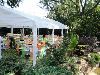 Stone Creek Terrace, Frisco