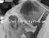 Click to see Profile