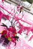 2 Carat Virtual Package, Pinkberry Moon Events, Waldorf — Simply That Flowers