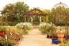 Weddings On A Budget, Gadsden