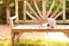 Weddings On A Budget, Gadsden