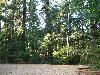 YMCA Camp Collins, Gresham