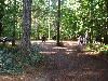 YMCA Camp Collins, Gresham