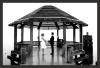 Alexandria's Waterfront Wedding Services, Alexandria