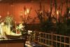 Shinto Japanese Steakhouse and Sushi Lounge