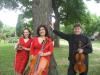 Fantasy Strings, Novi