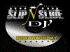 Slip N Slide DJ Services, Cape Coral