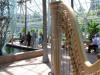 Harpist Serena O'Meara - Marshfield, Marshfield