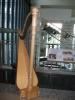 Harpist Serena O'Meara - Marshfield, Marshfield