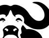 Water Buffalo