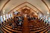 The Bronze Wedding Photo Package, Dick Parrish Photography, Cape Coral