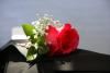 Click to see Profile