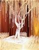 Primary Wedding Package, Appointed Harmony Events, Randallstown