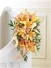 Primary Wedding Package, Appointed Harmony Events, Randallstown