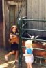 "The Barn's" Reception Hall, The Barn" Arabian Knights Farms, Willowbrook — Petting Zoo for a Family Party, School and Church Fundraisers, Corporate Meeting, Company Picnic, Class Reunion, Birthday Party, Anniversary, Bar-Bat Mitzvahs, Cotillions, Holiday Parties etc......