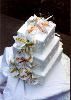 "The Barn's" Reception Hall, The Barn" Arabian Knights Farms, Willowbrook — AKF Beautiful Wedding Cakes will make your Wedding Reception a memory to last a life time.