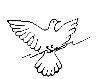 Click to see Profile