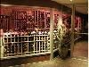 Ponticello Ristorante, Astoria — Wine Cellar