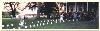 Outdoor Ceremony, Sweetwater Farm, Glen Mills