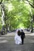 We Click Photography, Toronto — Central Park New York City