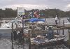 Rick's On The River, Tampa — Marina