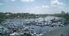 Rick's On The River, Tampa — Marina