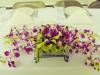 Double Dee's Catering, Mount Kisco