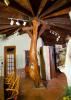 Casa De Luna Room, El Rocio Retreat, Mission — Tree of life in the dining room. An amazing Mesquite tree from the 18 acre property.