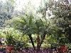 Wingate Inn Tampa North, Tampa — Beautiful Nature Preserve Surrounds Tampa Hotel