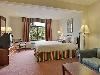 Wingate Inn Tampa North, Tampa — Studio Suite