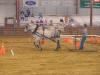 Arena, Topsfield Fairgrounds, Topsfield