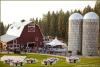 Coeur d'Alene Meadows Amphitheatre, Settlers Creek, Coeur d'Alene