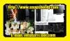 Photobooth Rentals & Disc Jockey Services, Orange