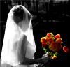 Miron PhotoArt, Berkeley Heights