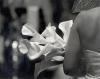 Events By Design Inc