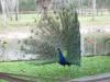 SANDHILL EQUESTRIAN WEDDINGS, Sandhill at Jupiter Equestrian Center