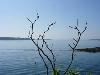 Cow Island Campsite, Rippleffect, Portland — Find a World Away A mere 3 miles and 15 minutes by boat launch, Cow Island offers a peaceful retreat from the fast pace of mainland life.