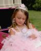 Treasures to Remember Photography & Designs, Murfreesboro — Who says we can't dress up and act like a princess for my photo session?