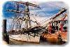 Elissa, Texas Seaport Museum, Galveston