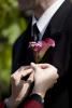 Beautiful Blooms by Larry, Carlsbad — Mini-Calla boutonniere for groom to match mini-calla
bridal bouquet
