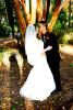 New Creation Photography, Fayetteville