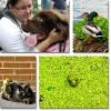 Tozzophoto, Hackensack — Animals